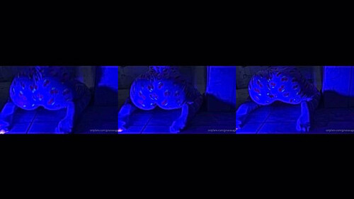 collage_0_48bca876-a450-4a8b-af4f-7c4bd3af372a.jpg