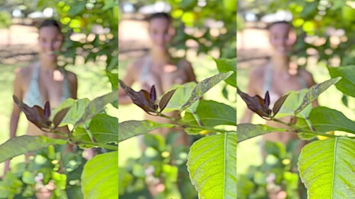 collage_1_d72ac13e-dfb7-49ab-86fd-1b91b078d4ba.jpg