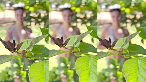 collage_2_455edfea-da1d-4315-be31-e6ec3a668fce.jpg