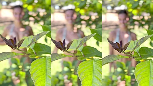 collage_3_d53fa69e-5606-41db-bfb5-63e1a3257021.jpg